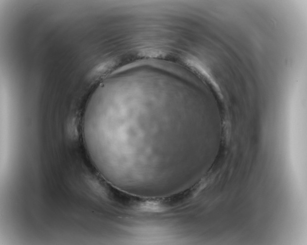 X0000086930114200704301125