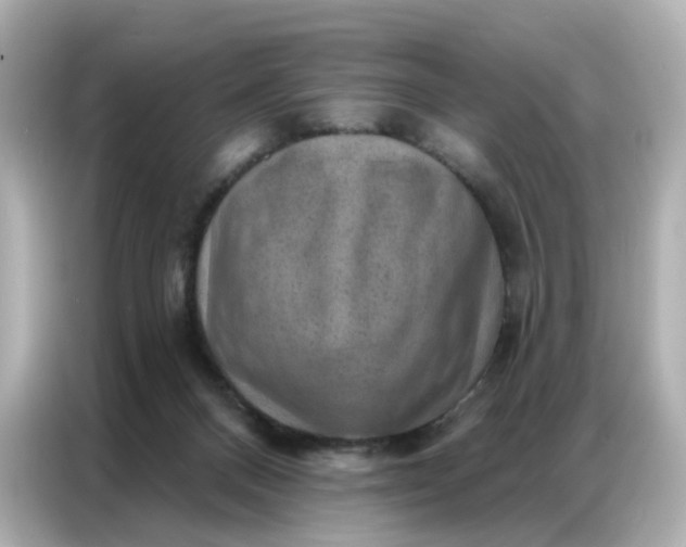 X0000086930120200704301125