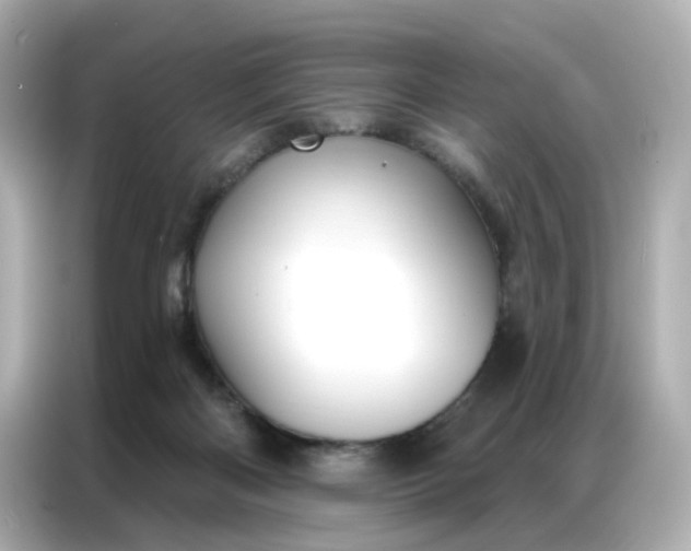 X0000086930122200704301125