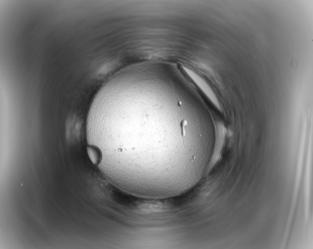 X0000086930123200704301125