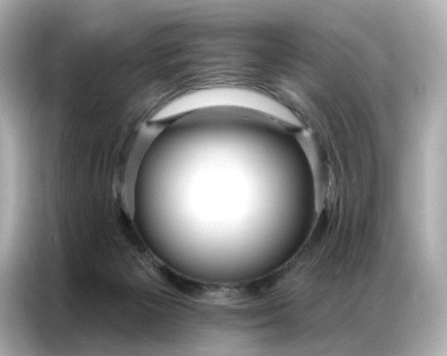 X0000086930125200704301125