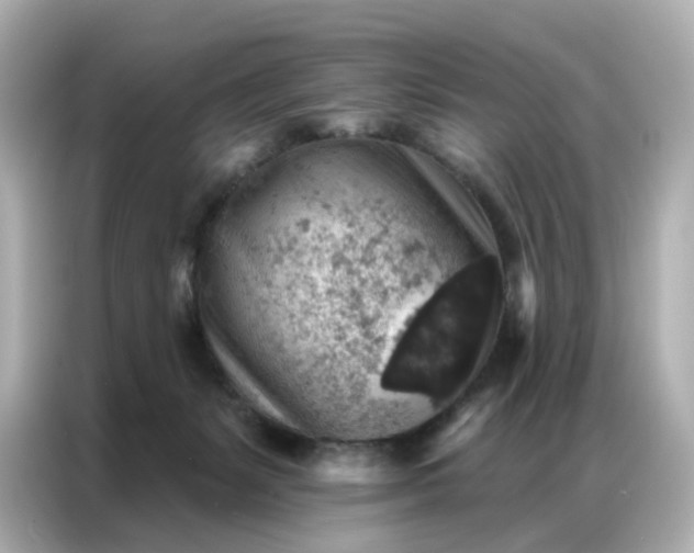 X0000086930127200704301125