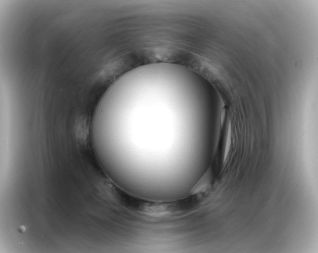 X0000086930129200704301125