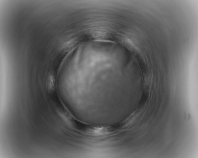 X0000086930130200704301125