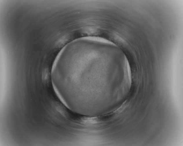 X0000086930132200704301125