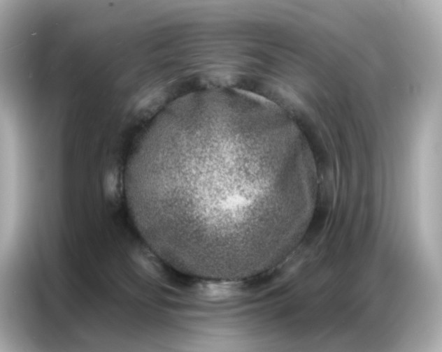 X0000086930134200704301125