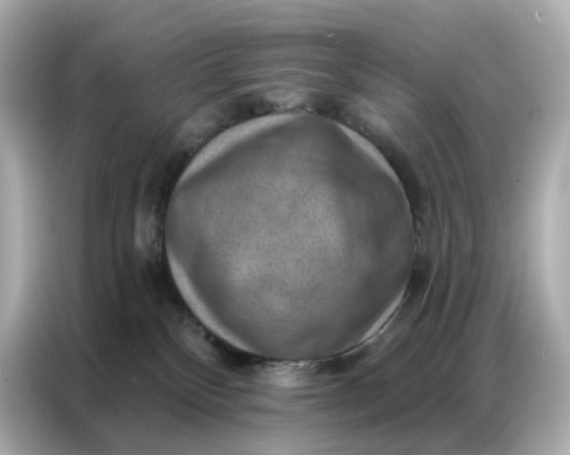 X0000086930136200704301125