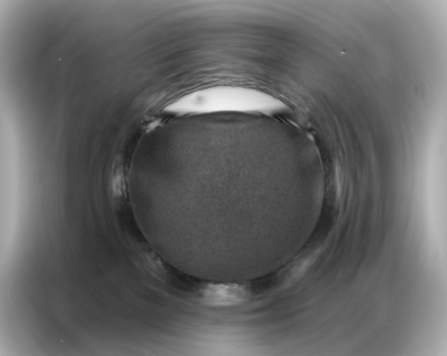 X0000086930137200704301125