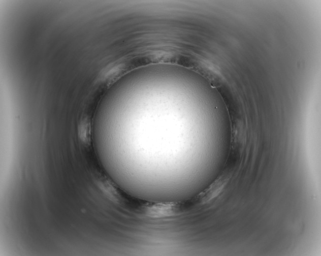 X0000086930138200704301125