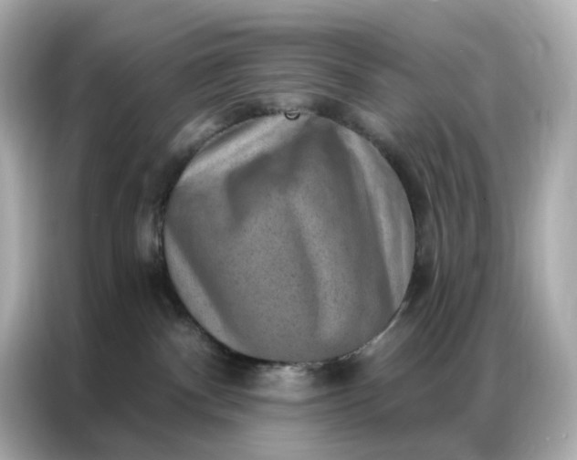 X0000086930140200704301124