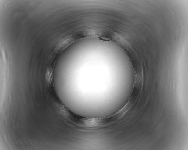 X0000086930142200704301124