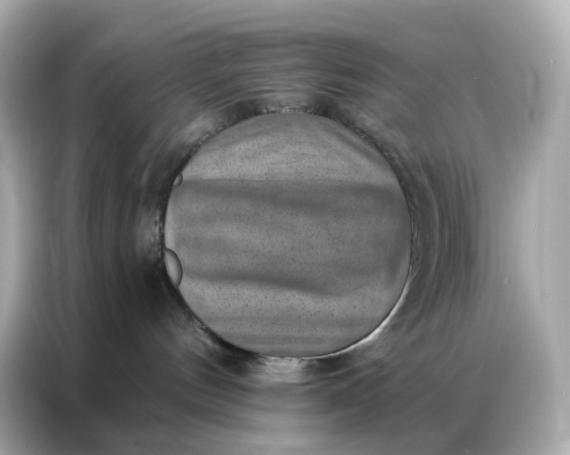 X0000086930144200704301124