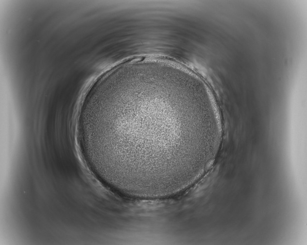 X0000086930145200704301124