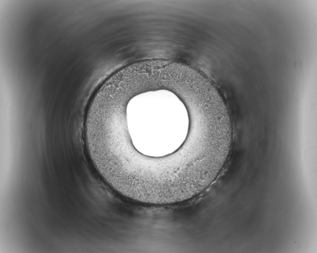 X0000086930146200704301124