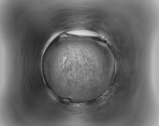 X0000086930147200704301124