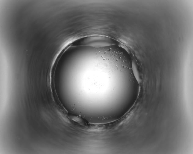 X0000086930148200704301124