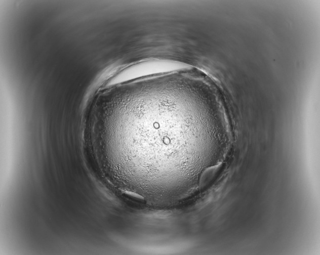 X0000086930149200704301124