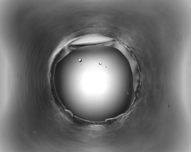 X0000086930150200704301124