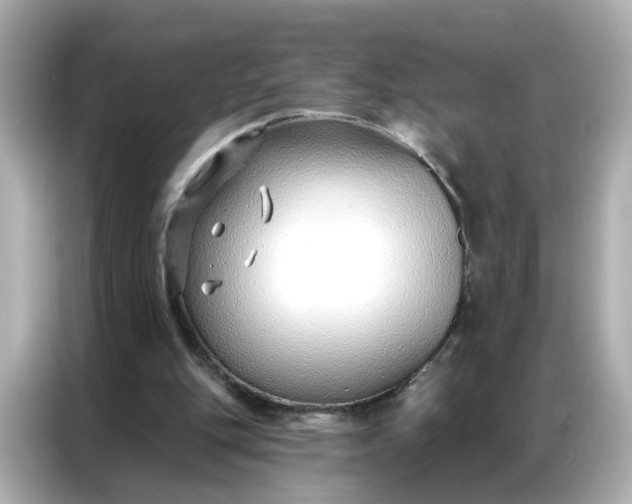 X0000086930151200704301124