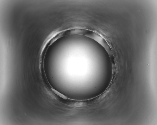 X0000086930152200704301124