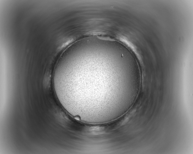 X0000086930153200704301124