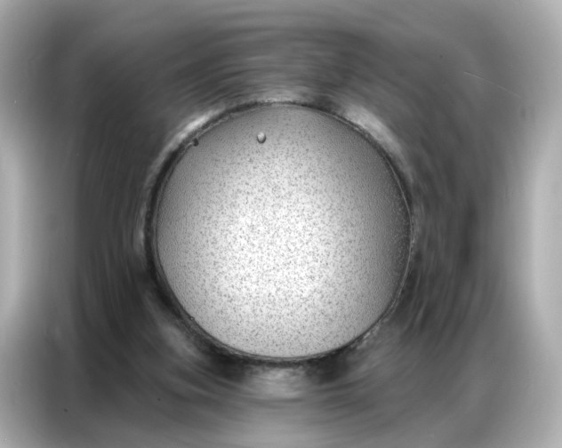 X0000086930155200704301124