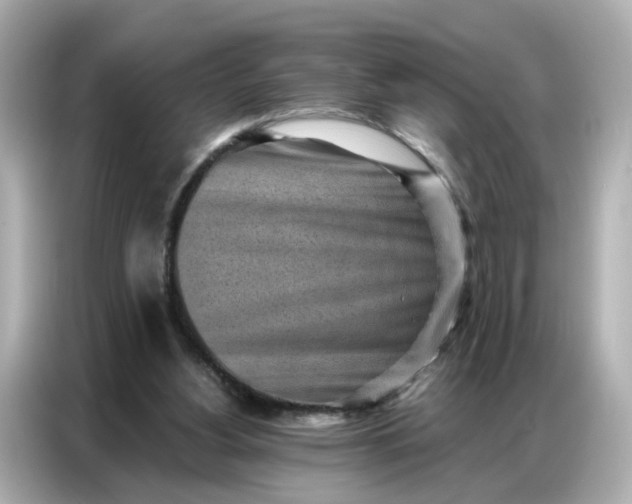 X0000086930156200704301124