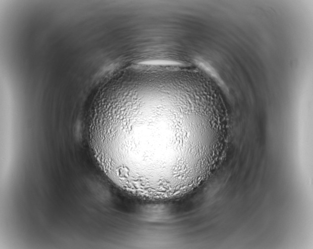 X0000086930161200704301124