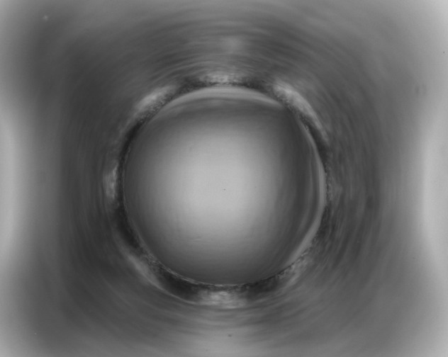 X0000086930163200704301124