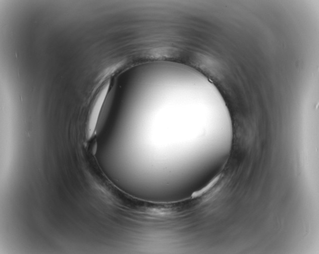 X0000086930164200704301124