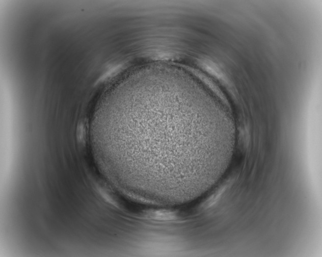 X0000086930165200704301124