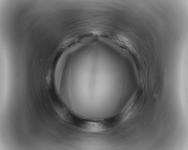 X0000086930167200704301124