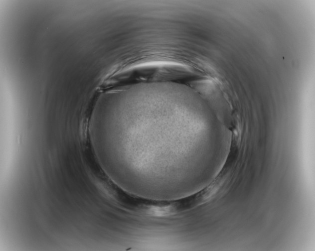 X0000086930168200704301124