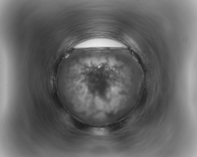 X0000086930169200704301124