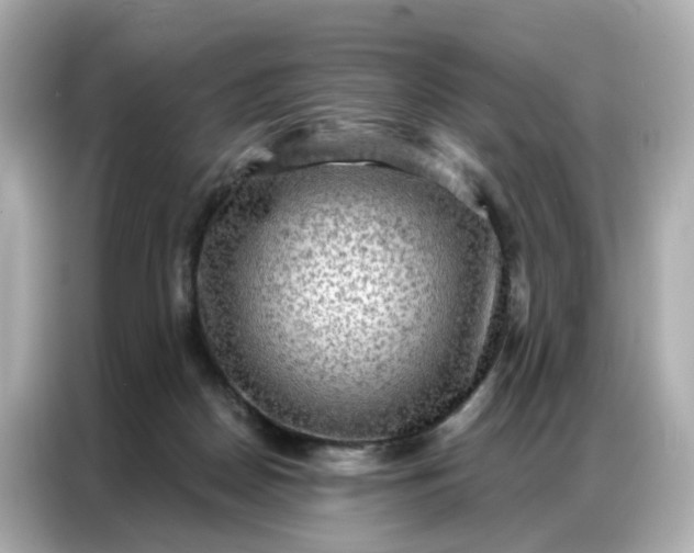 X0000086930170200704301124