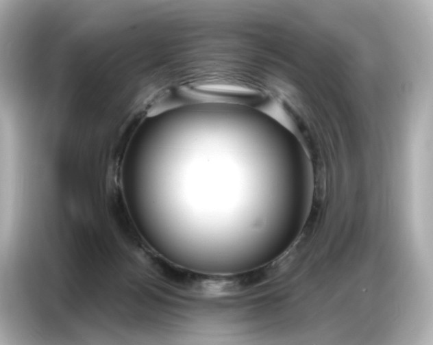 X0000086930172200704301124