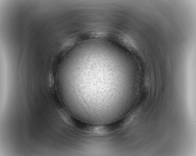 X0000086930173200704301124