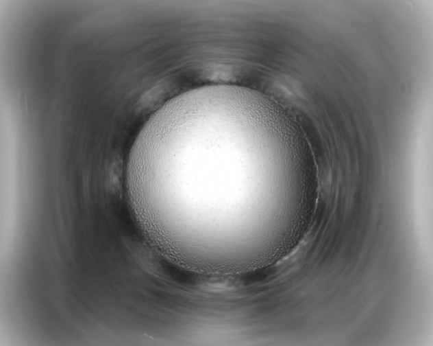 X0000086930175200704301124