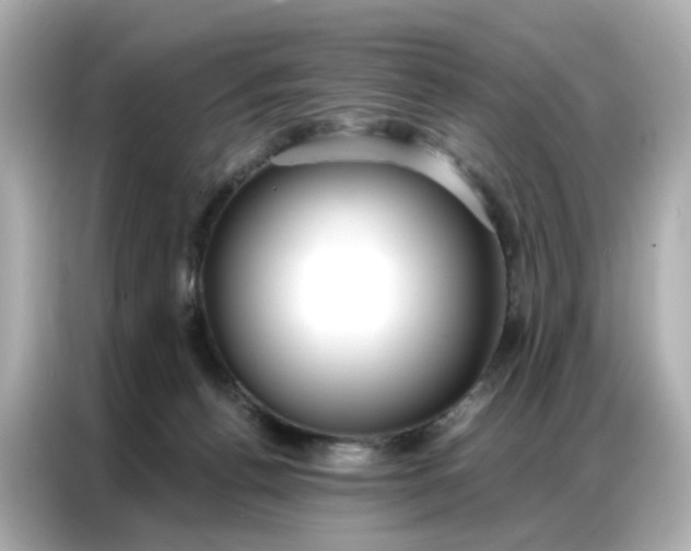 X0000086930176200704301124