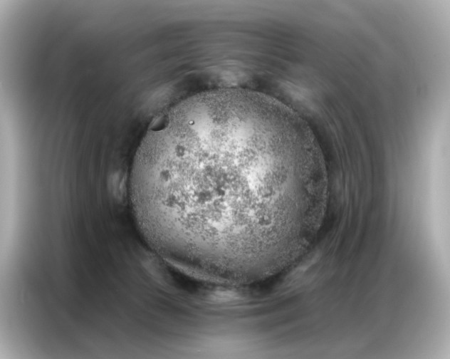 X0000086930177200704301124