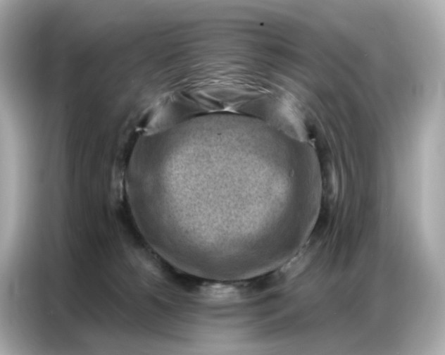 X0000086930180200704301124