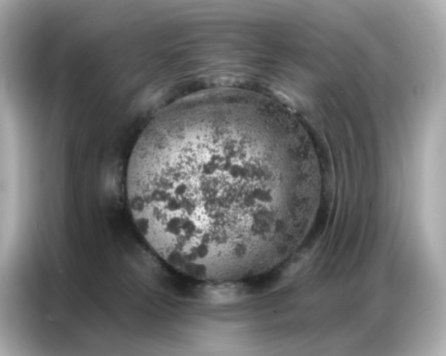 X0000086930181200704301124