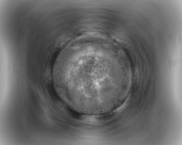 X0000086930182200704301124