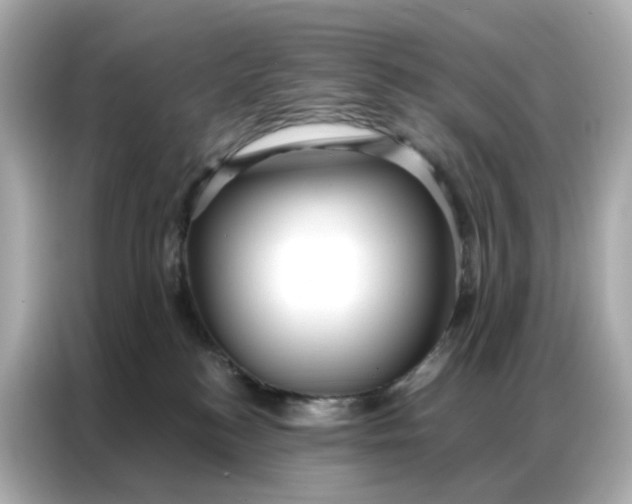 X0000086930184200704301124