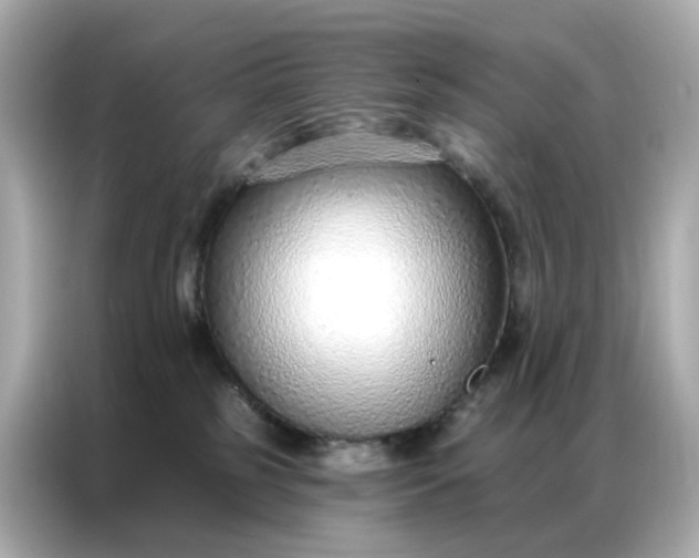 X0000086930185200704301124