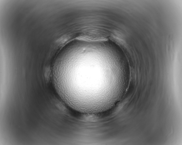 X0000086930189200704301124