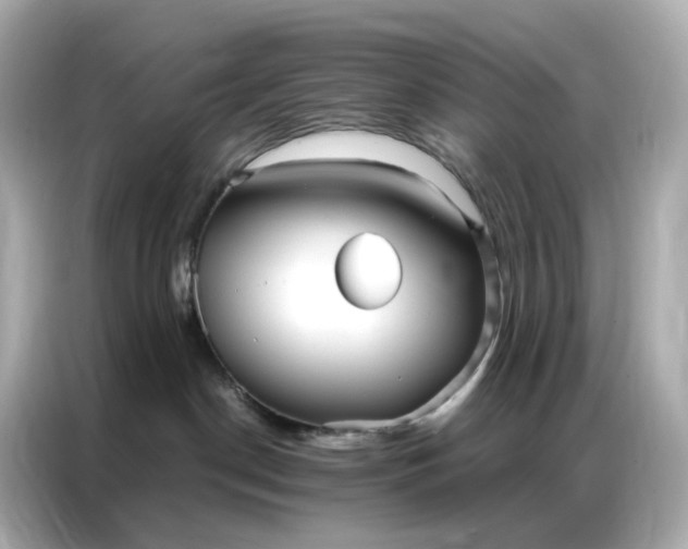 X0000086930190200704301124