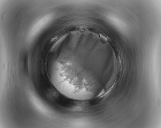 X0000086930191200704301124