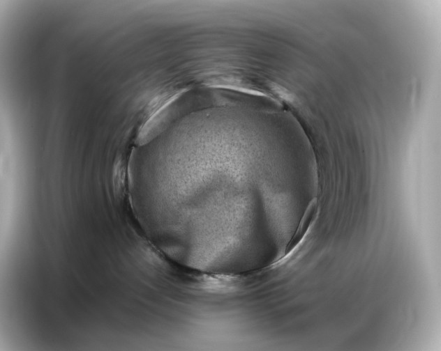 X0000086930192200704301124