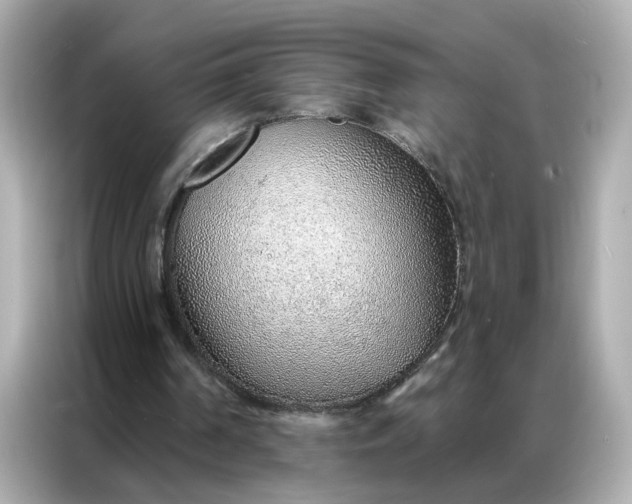 X0000086930194200704301124